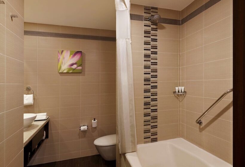 اتاق استاندارد, Hilton Garden Inn New Delhi/saket