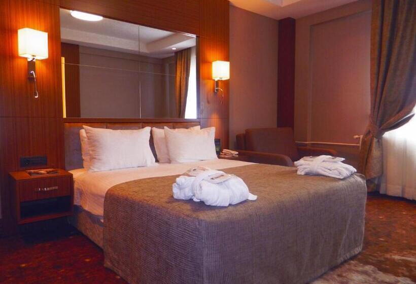 Executive Room, The Green Park Kartepe