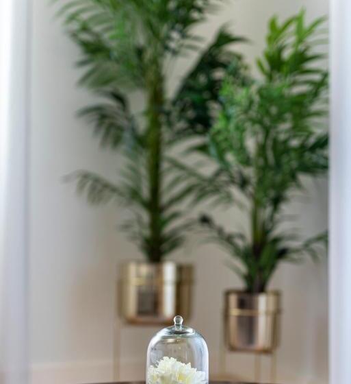 سوییت جونیور, Templo Boutique