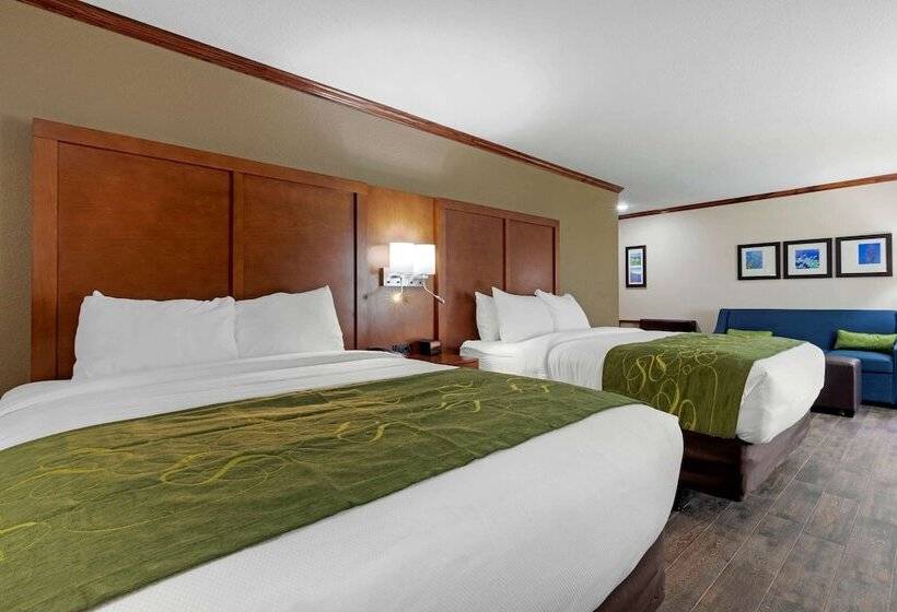 Люкс Адаптированный для Инвалидов, Comfort Suites West Monroe Near Ike Hamilton Expo Center