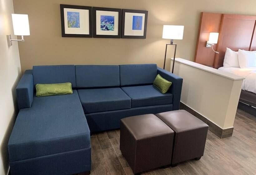 Люкс Адаптированный для Инвалидов, Comfort Suites West Monroe Near Ike Hamilton Expo Center
