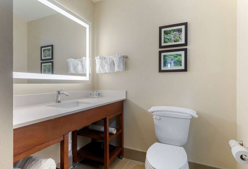 Люкс, Comfort Suites West Monroe Near Ike Hamilton Expo Center