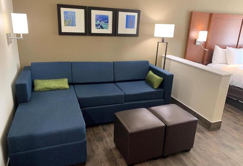 Люкс Executive Кровать Кинг, Comfort Suites West Monroe Near Ike Hamilton Expo Center