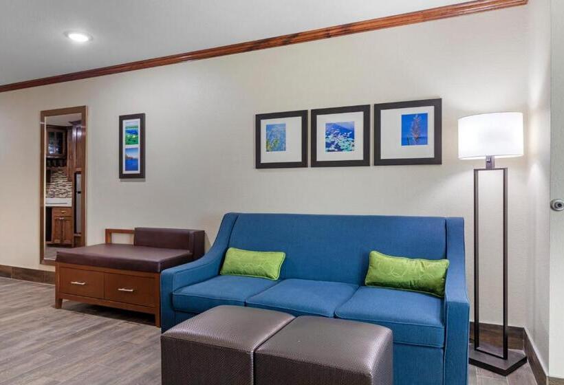 Люкс Адаптированный для Инвалидов, Comfort Suites West Monroe Near Ike Hamilton Expo Center