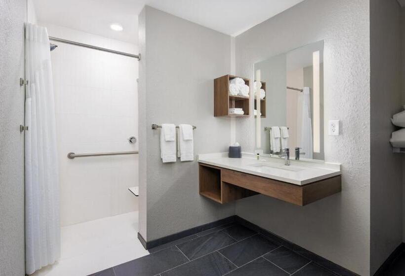 Люкс Адаптированный для Инвалидов, Staybridge Suites   Auburn   University Area, An Ihg