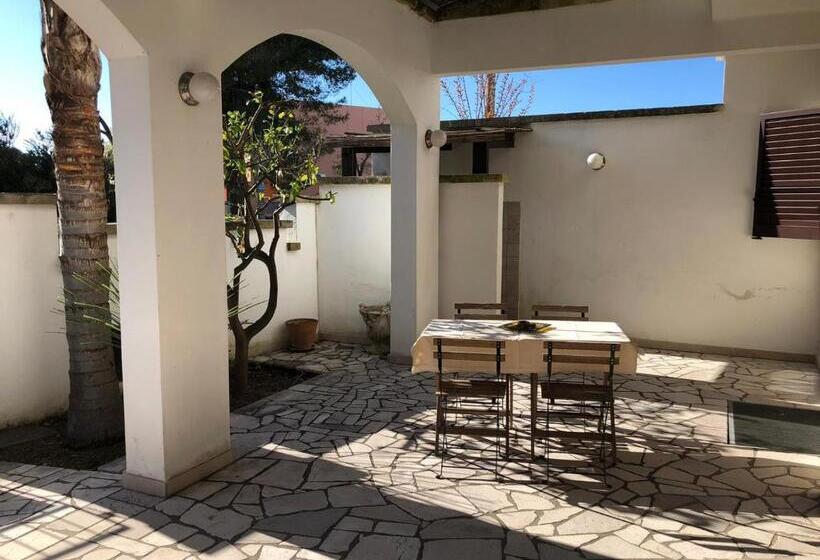 استودیوی لوکس, Odegos