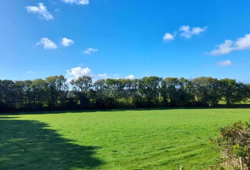 带1个卧室的带阳台的公寓, Fairwater Head