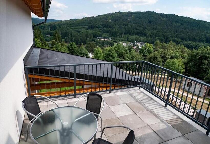 Апартаменты 1 Спальня с Террасой, Wellness Apartmány Panorama