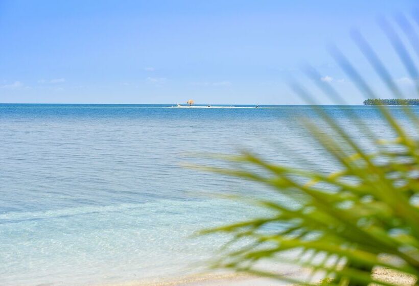 스위트, Calala Island