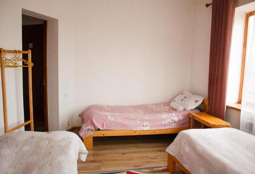 اتاق کلاسیک سه تخته, Guest House Altyn Oimok