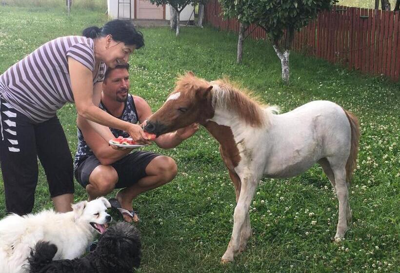 ویلای 1 خوابه با چشم‌انداز باغ, Pensiunea Silvanka