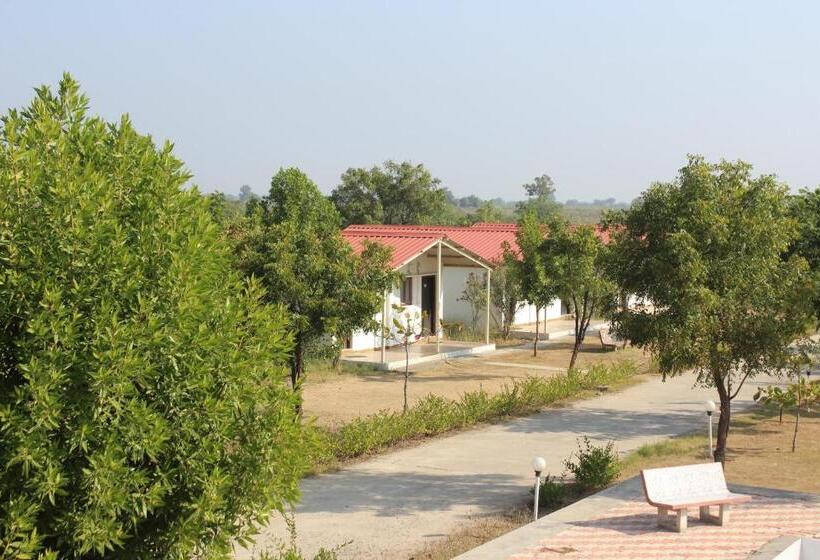 标准间, Little Rann Resort