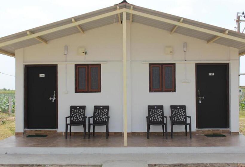 标准间, Little Rann Resort