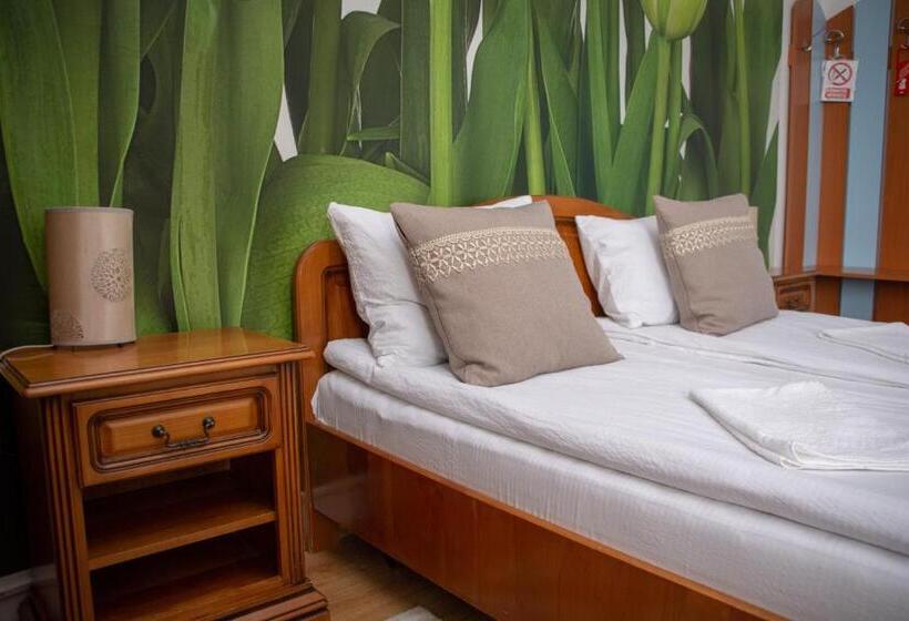 Номер Стандарт с Террасой, Motel Via Targu Mures