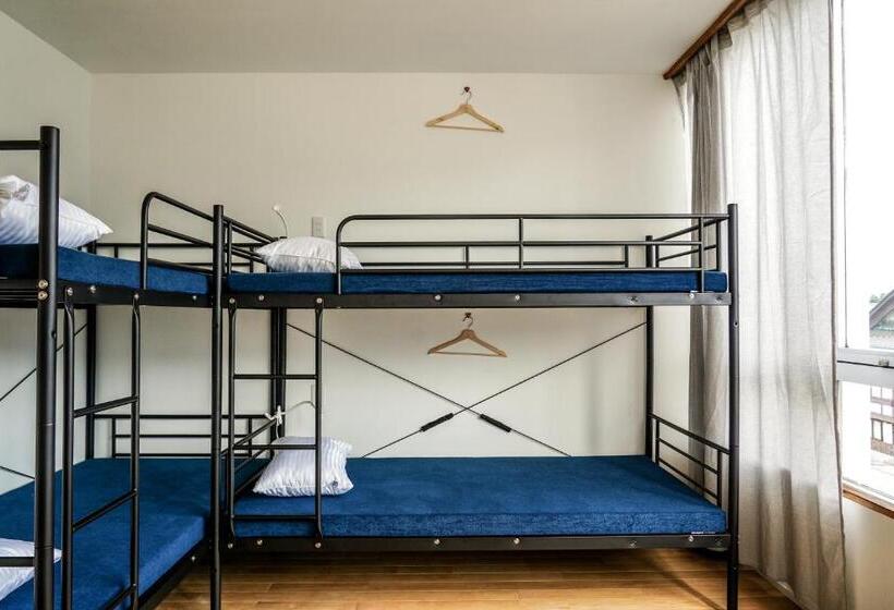 Четырехместный Номер Стандарт, Arashima Hostel
