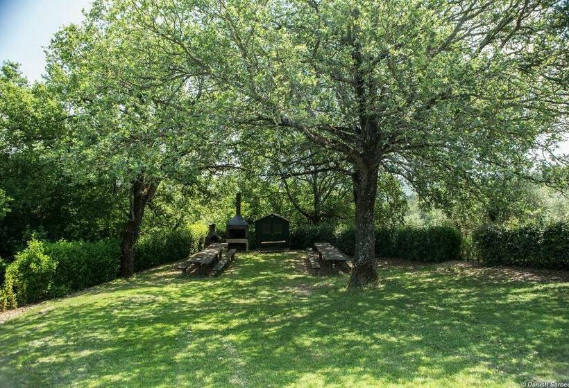Апартаменты 3 Спальни, Agriturismo La Papessa   Fattoria Montecchio