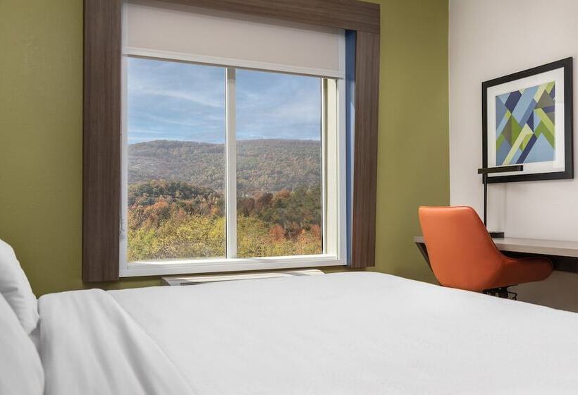 Camera Standard, Holiday Inn Express Hotel & Suites Chattanooga Lookout Mountain, An Ihg
