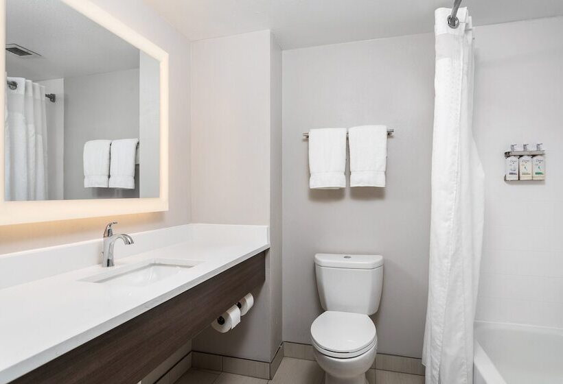 Suite, Holiday Inn Express Hotel & Suites Chattanooga Lookout Mountain, An Ihg