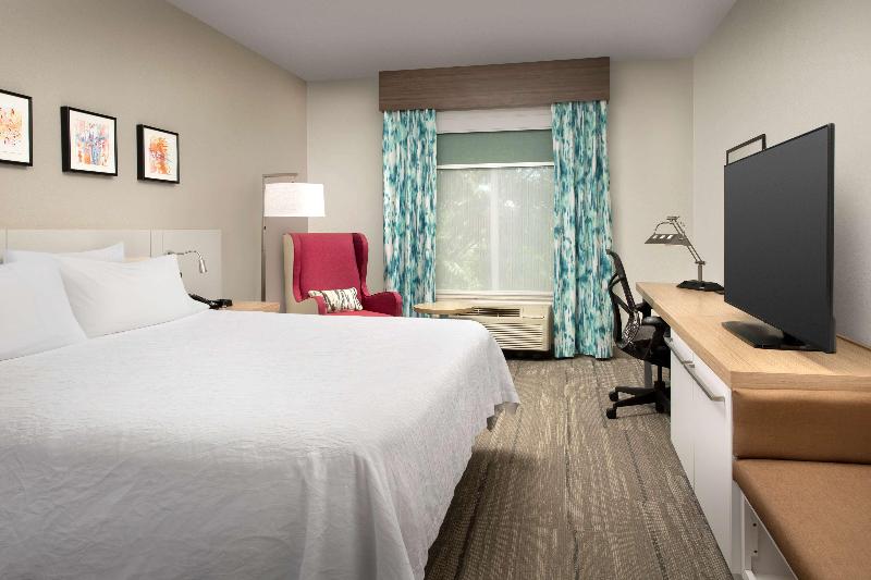 חדר סטנדרט עם מיטת קינג, Hilton Garden Inn Knoxville West/cedar Bluff