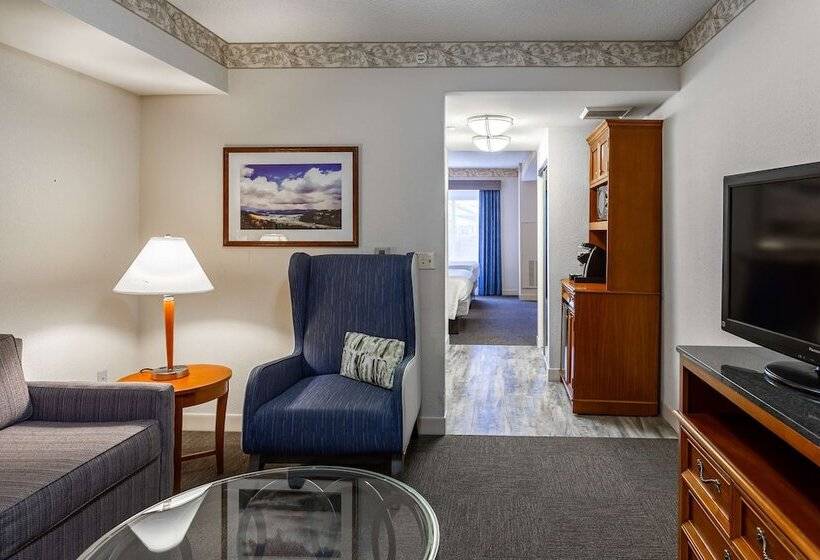 Полулюкс, Hilton Garden Inn Wooster