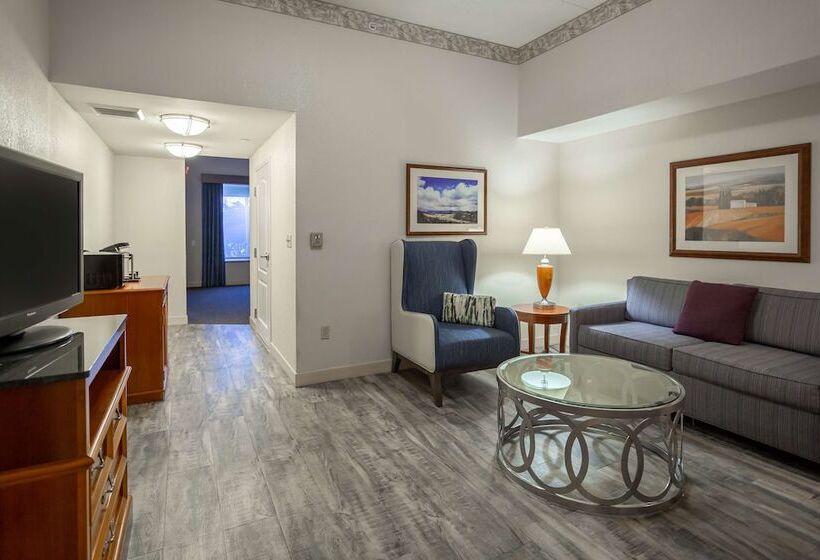 Полулюкс, Hilton Garden Inn Wooster