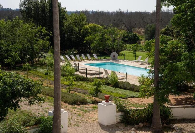 اتاق سوپریور, Masseria Filippo De Raho   Agri Bio Relais
