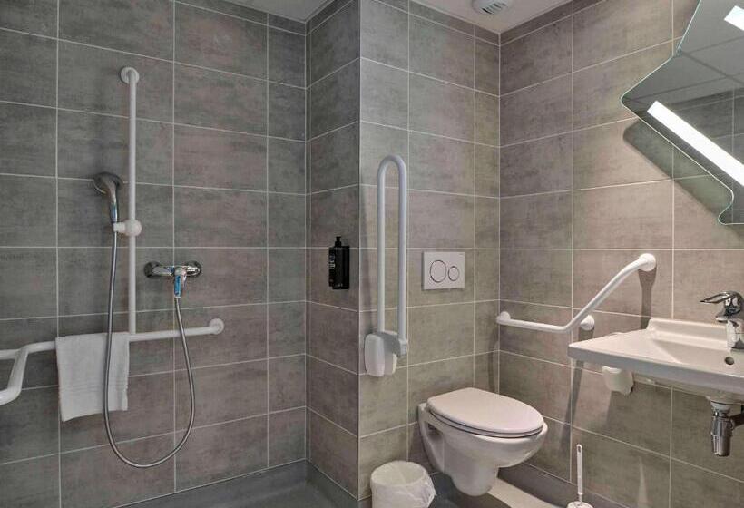 Номер Стандарт, Ibis Budget Nangy Annemasse
