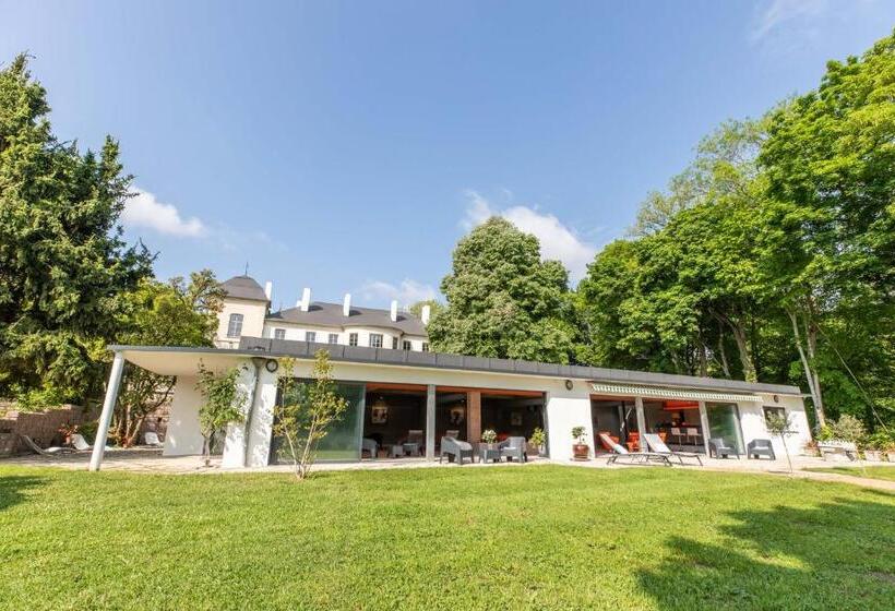 디럭스 스위트, Château De Charmeil  Vichy Chambres D Hôtes