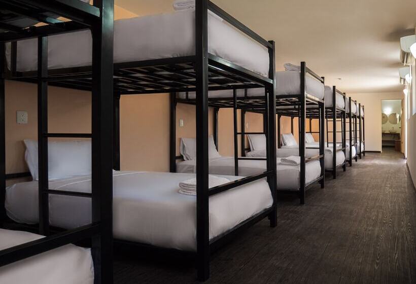 تختخواب در اتاق مشترک, Colorbox Beds And Rooms