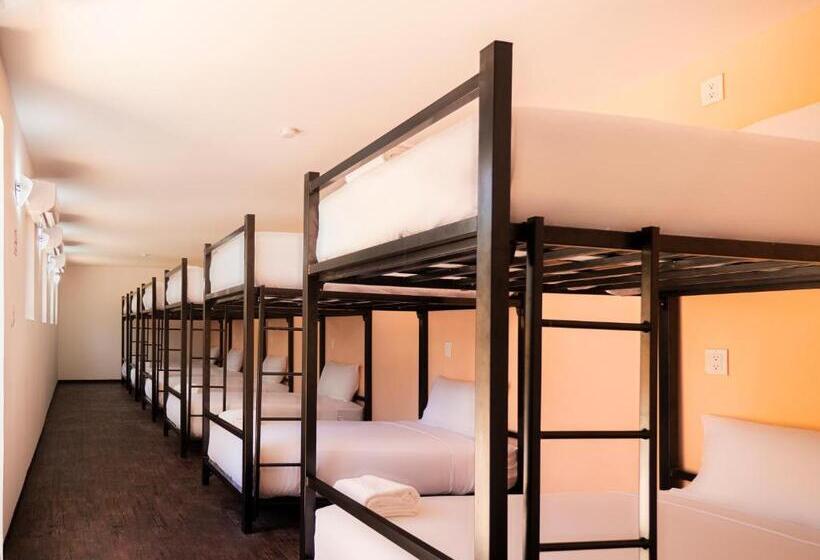 تختخواب در اتاق مشترک, Colorbox Beds And Rooms