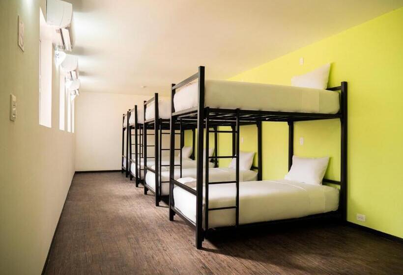 تختخواب در اتاق مشترک, Colorbox Beds And Rooms