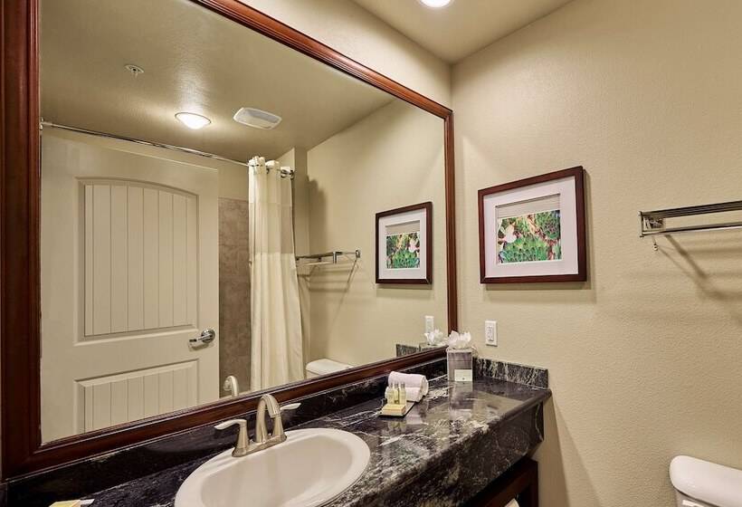 Полулюкс для Инвалидов, Doubletree By Hilton Phoenix Gilbert