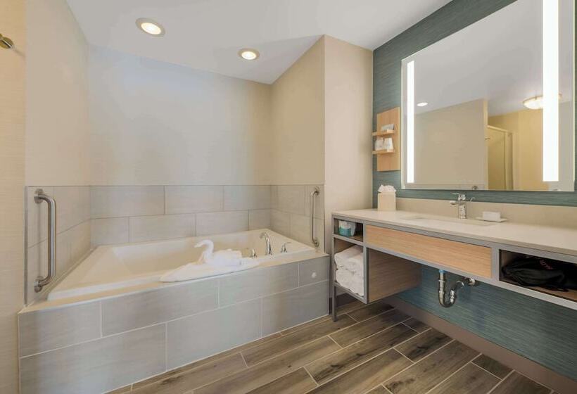 Suite Łóżko King Size, Hilton Garden Inn Rockford