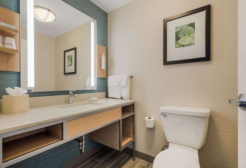 Pokój Typu Standard Przystosowany dla Osób Niepełnosprawnych, Hilton Garden Inn Rockford