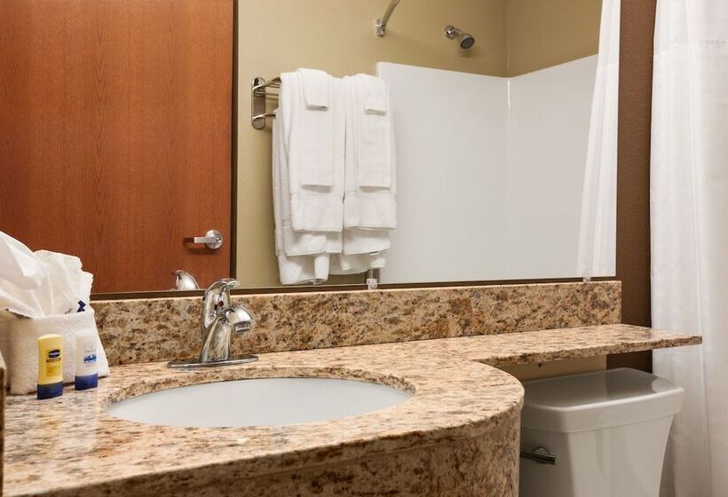 스위트, Microtel Inn & Suites By Wyndham Pearl River/slidell