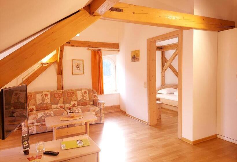 带1个卧室的公寓, Residence Zum Theater