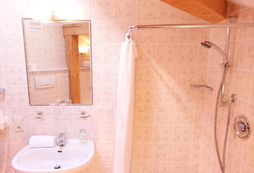 带1个卧室的公寓, Residence Zum Theater