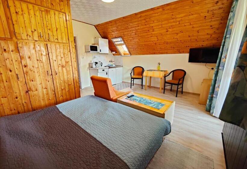 Студио Стандарт с Балконом, Viola House