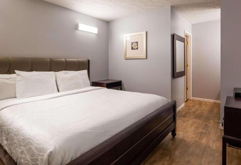 带大床的标准间, Apple Valley Inn Pigeon Forge