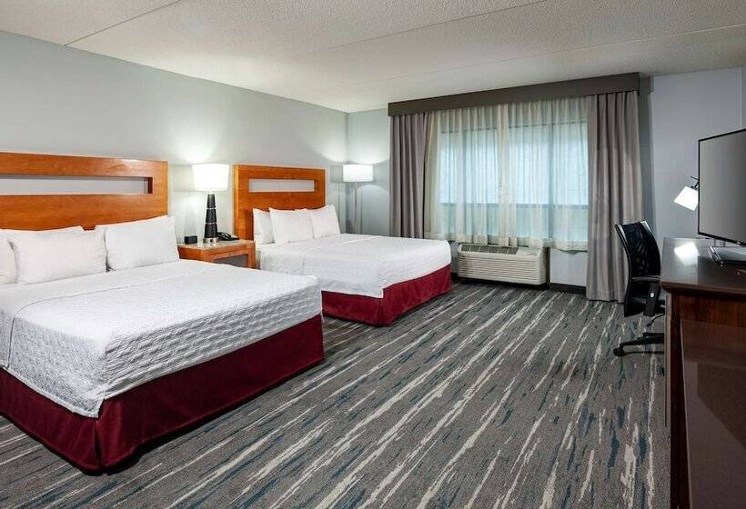 标准间, Hampton Inn & Suites St. Louis At Forest Park