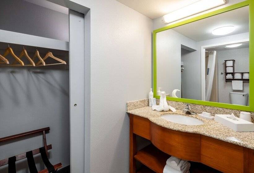 标准工作室, Hampton Inn & Suites St. Louis At Forest Park