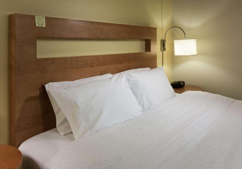 חדר סטנדרט עם מיטת קינג, Hampton Inn & Suites St. Louis At Forest Park