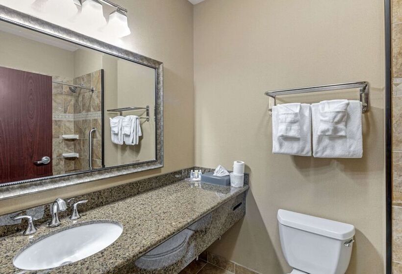スタンダードルーム, Comfort Inn & Suites Fort Worth  Fossil Creek