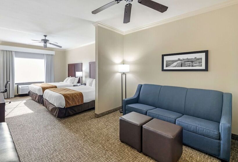 スタンダードルーム, Comfort Inn & Suites Fort Worth  Fossil Creek