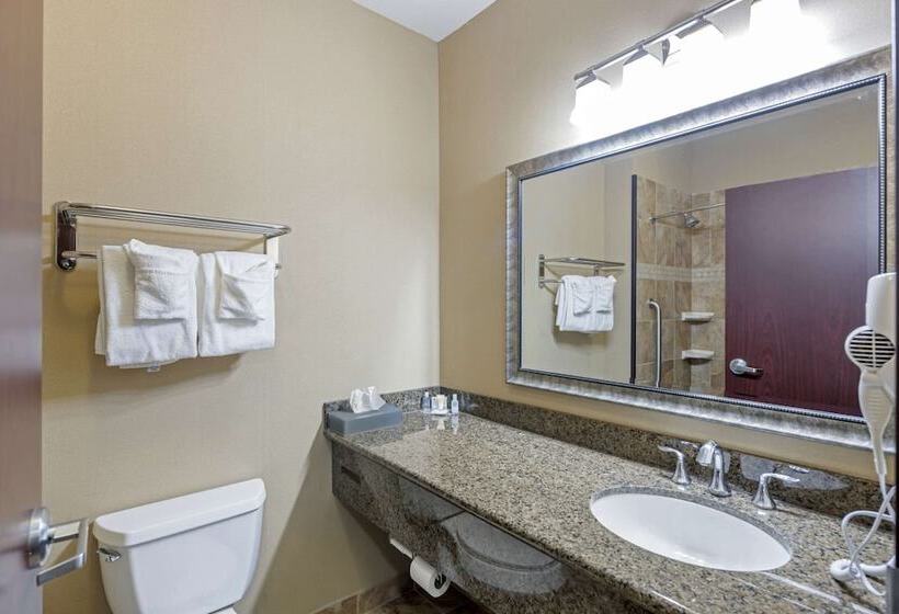 身障者適用スイートルーム, Comfort Inn & Suites Fort Worth  Fossil Creek