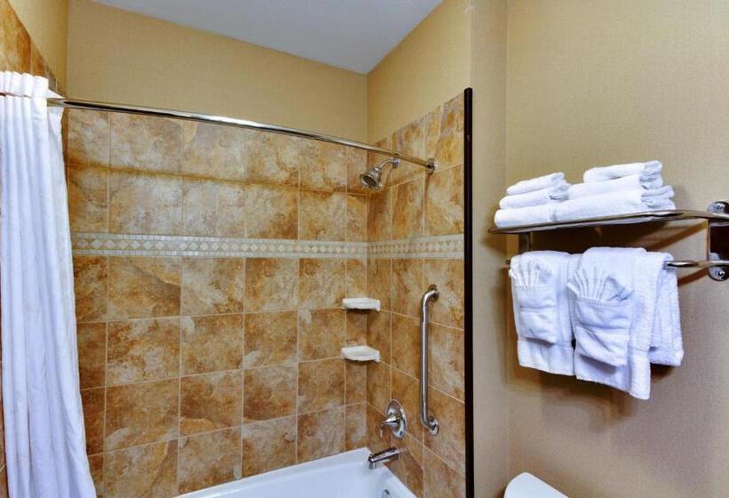 キングサイズベッドのスタンダードルーム, Comfort Inn & Suites Fort Worth  Fossil Creek