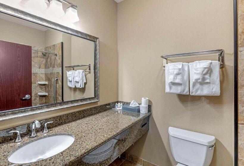 スタンダードルーム, Comfort Inn & Suites Fort Worth  Fossil Creek