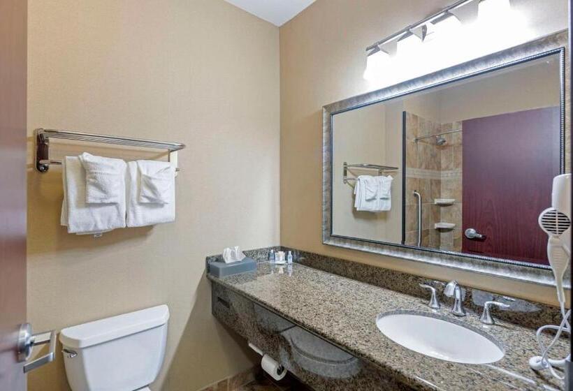 身障者適用スイートルーム, Comfort Inn & Suites Fort Worth  Fossil Creek