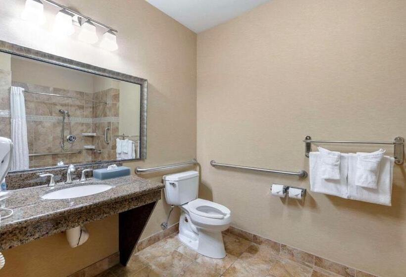 身障者適用キングサイズベッドルーム, Comfort Inn & Suites Fort Worth  Fossil Creek
