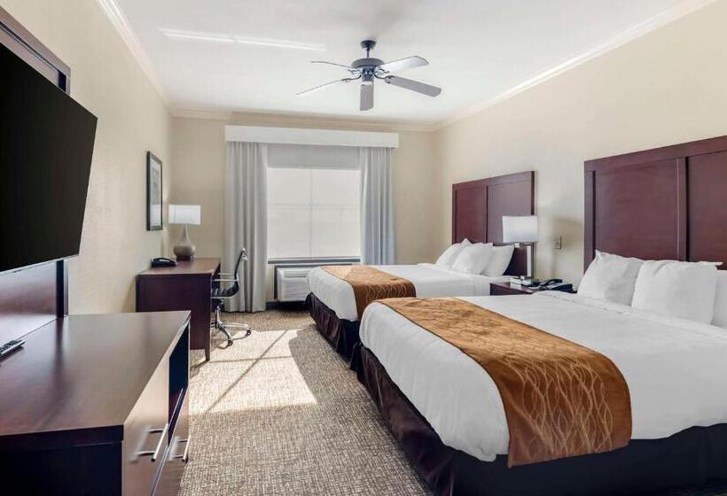 身障者適用スタンダードルーム, Comfort Inn & Suites Fort Worth  Fossil Creek